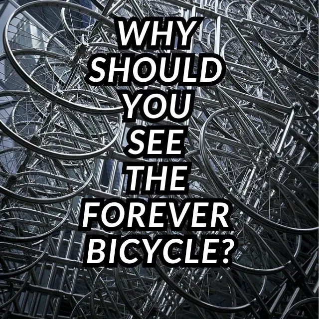 Forever Bicycle Review