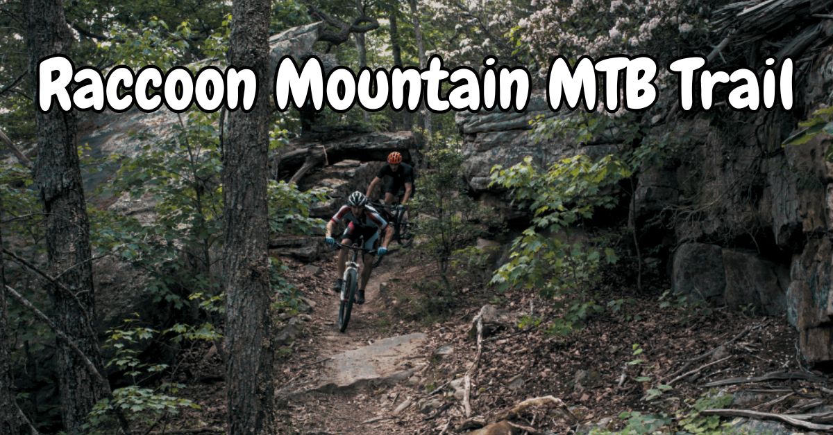 Raccoon mountain mtb trail