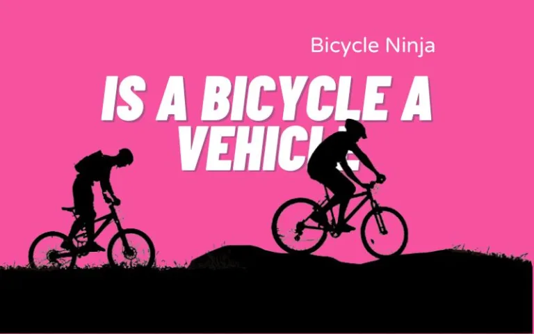 Is a Bicycle a Vehicle